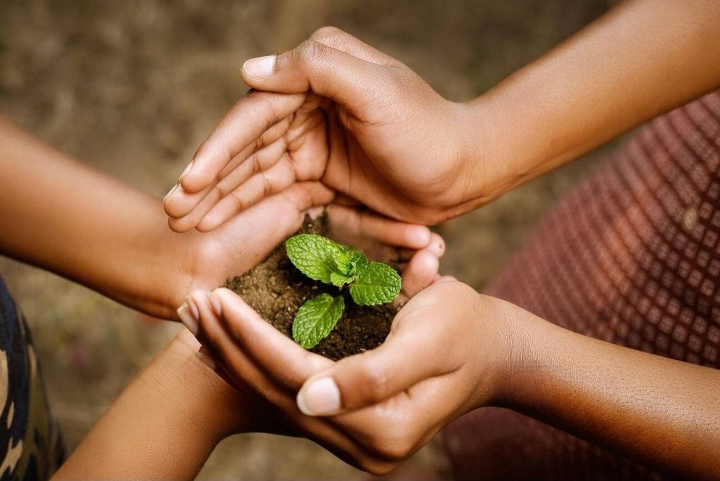 sasenma micro credit